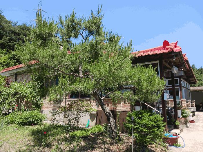 충청남도 청양군 운곡면 위라리 134 주택 경매 사진 6