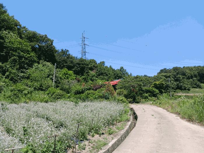 충청남도 청양군 운곡면 위라리 134 주택 경매 사진 8
