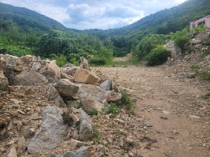 충청남도 공주시 반포면 봉곡리 산56-29 임야 경매 사진 11