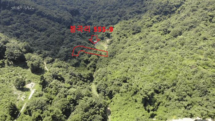 충청남도 공주시 반포면 봉곡리 산56-29 임야 경매 사진 2