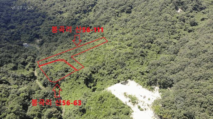 충청남도 공주시 반포면 봉곡리 산56-29 임야 경매 사진 3