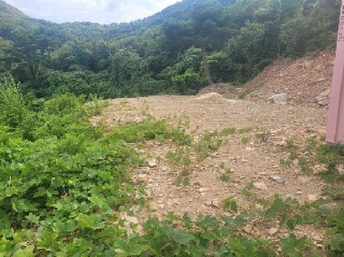 충청남도 공주시 반포면 봉곡리 산56-29 임야 경매 사진 7