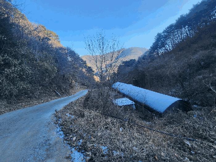 강원특별자치도 영월군 산솔면 화원리 201 전 경매 사진 17