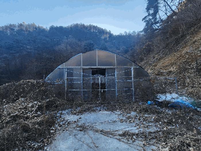 강원특별자치도 영월군 산솔면 화원리 201 전 경매 사진 20