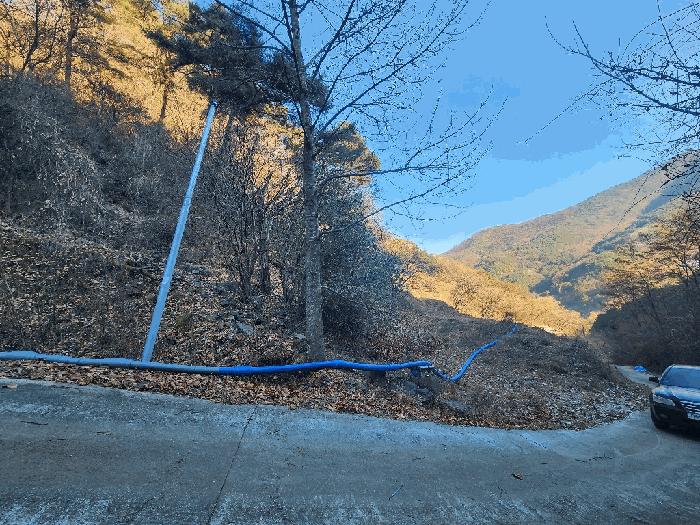 강원특별자치도 영월군 산솔면 화원리 201 전 경매 사진 6