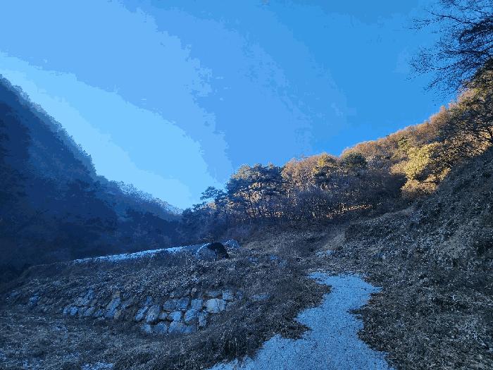 강원특별자치도 영월군 산솔면 화원리 231 전 경매 사진 10