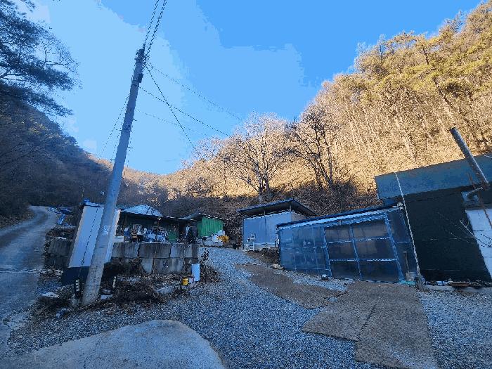 강원특별자치도 영월군 산솔면 화원리 231 전 경매 사진 4