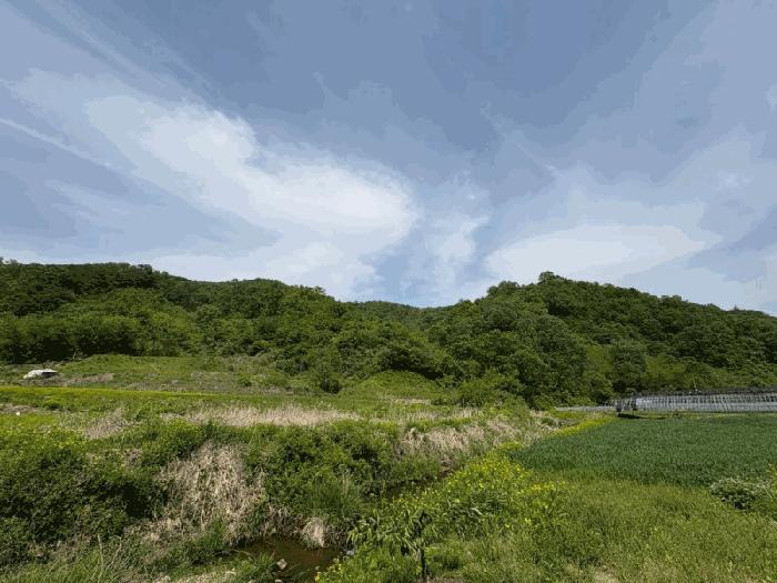 경상북도 예천군 호명읍 황지리 산40 임야 경매 사진 2