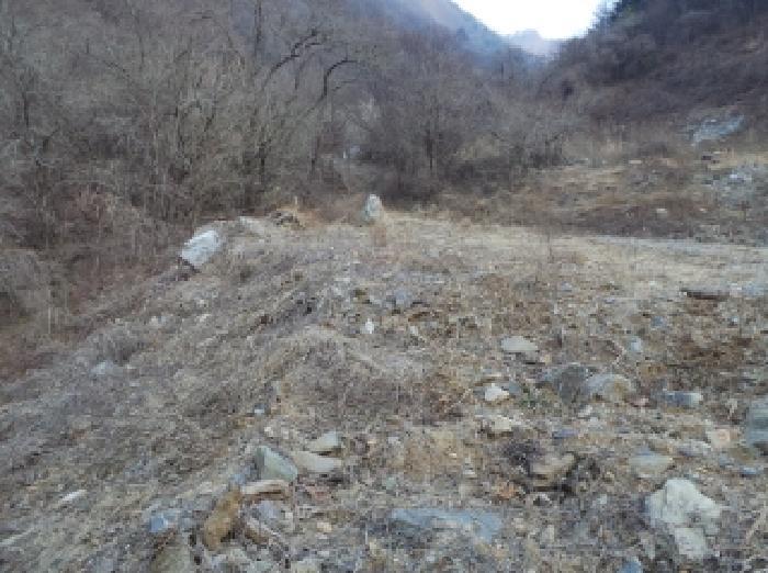 강원특별자치도 영월군 김삿갓면 진별리 506-42 숙박시설 경매 사진 8