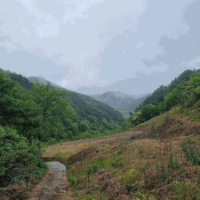 경상북도 문경시 농암면 궁기리 182-1 전 경매 사진 2