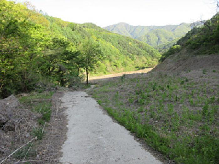 경상북도 문경시 농암면 궁기리 182-1 전 경매 사진 3