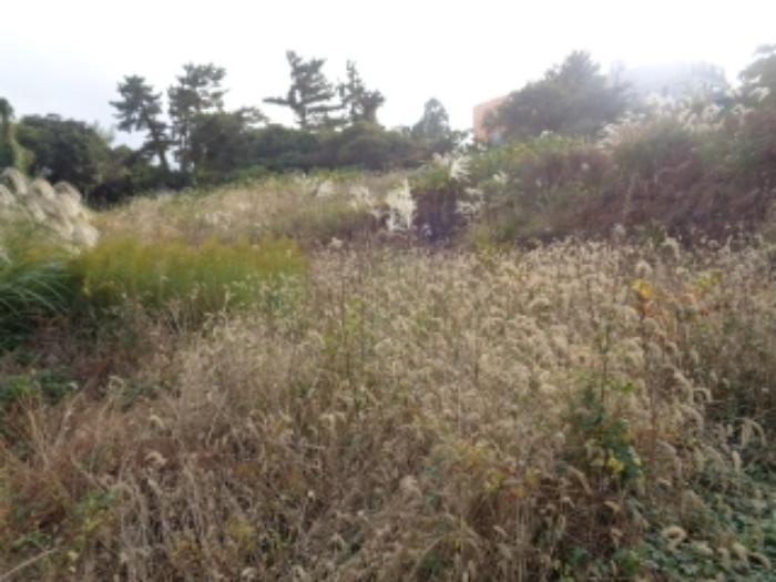 제주특별자치도 제주시 만덕로3길 26, 105동 3층304호 (건입동,현대아파트)구) 제주특별자치도 제주시 건입동 940-3 아파트 경매 사진 23