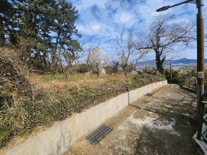 부산광역시 강서구 죽림동 1043 대지 경매 사진 1