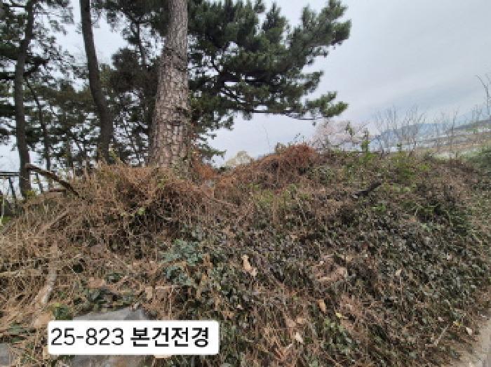 부산광역시 강서구 죽림동 1043 대지 경매 사진 10