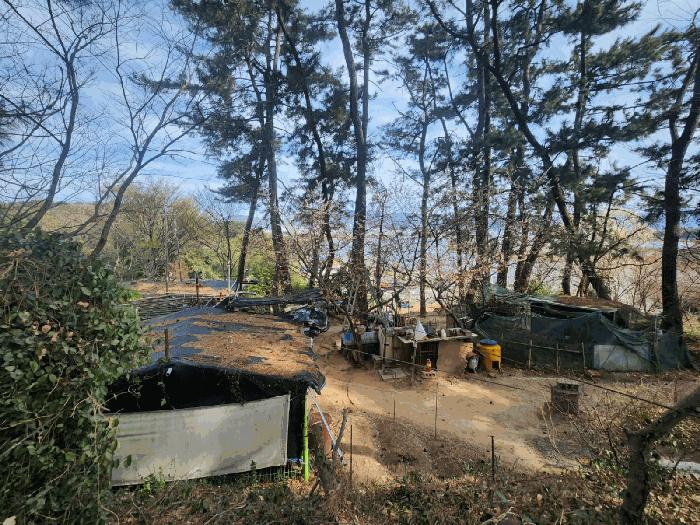 부산광역시 강서구 죽림동 1043 대지 경매 사진 6