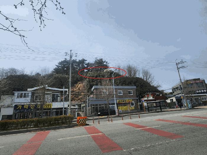 부산광역시 강서구 죽림동 1043 대지 경매 사진 7