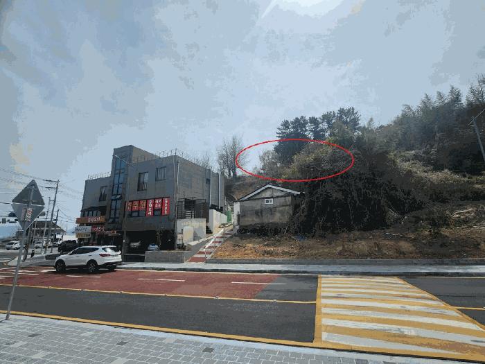 부산광역시 강서구 죽림동 1043 대지 경매 사진 8