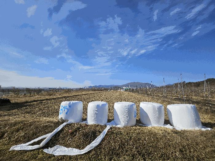 경상북도 경산시 와촌면 상암리 1038 답 경매 사진 2