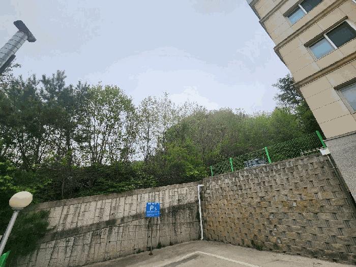 강원특별자치도 평창군 봉평면 면온리 873-1 전 경매 사진 1