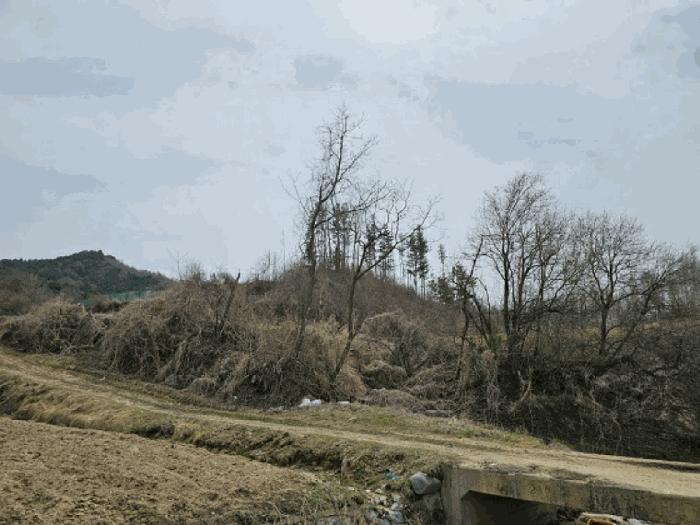 강원특별자치도 평창군 봉평면 창동리 62 전 경매 사진 3