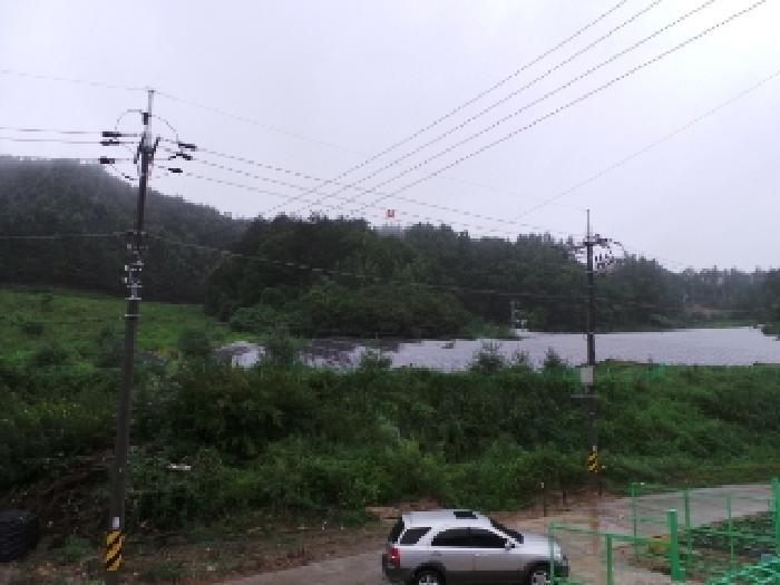 강원특별자치도 평창군 용평면 장평리 547 잡종지 경매 사진 7