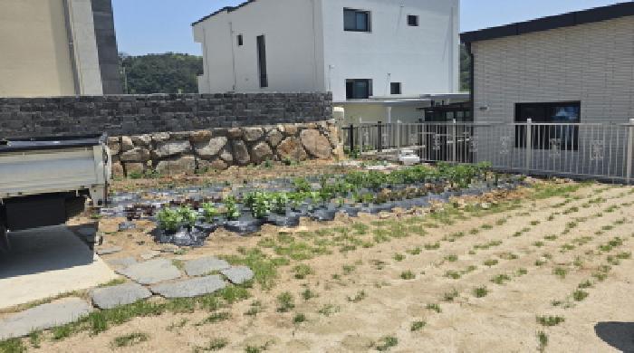 경상북도 칠곡군 동명면 남원리 1272 주택 경매 사진 7