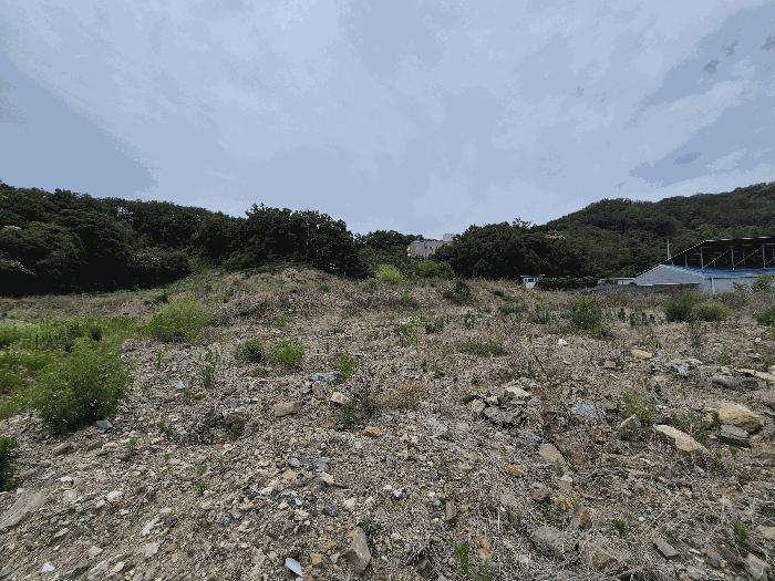 경상북도 칠곡군 기산면 영리 803-1 임야 경매 사진 3