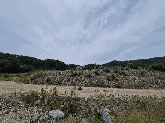 경상북도 칠곡군 기산면 영리 803-1 임야 경매 사진 8