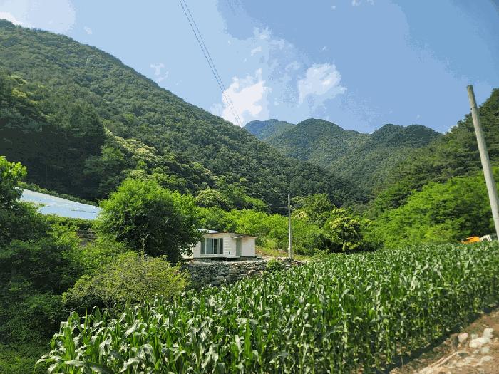 강원특별자치도 영월군 영월읍 연하리 367-1 전 경매 사진 6