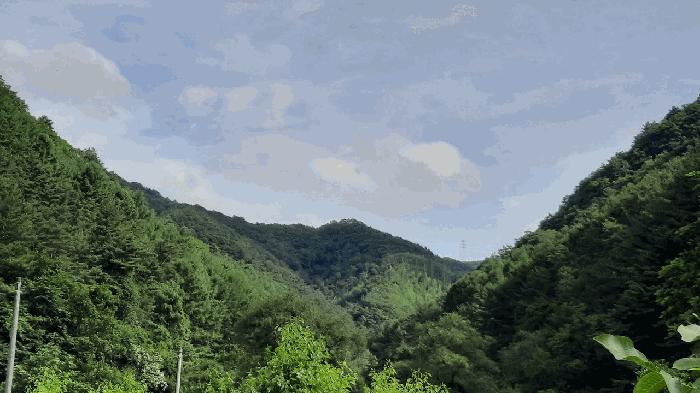 강원특별자치도 정선군 화암면 석곡리 627 임야 경매 사진 2