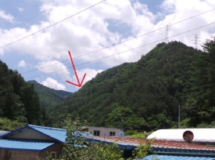 강원특별자치도 정선군 화암면 석곡리 628 임야 경매 사진 6