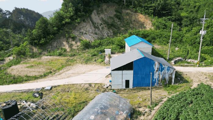 강원 평창군 전