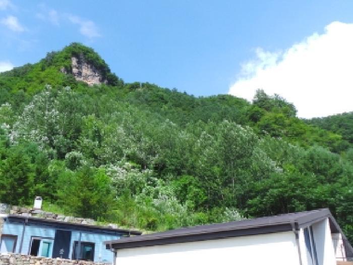 강원특별자치도 평창군 대화면 상안미리 269-1 전 경매 사진 2