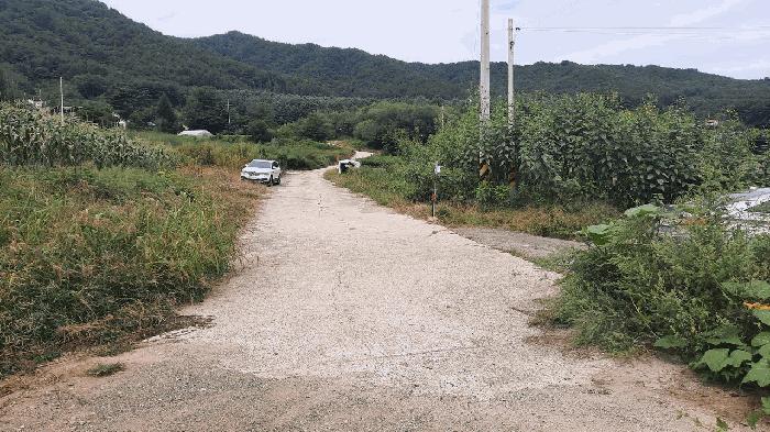 강원 평창군 전