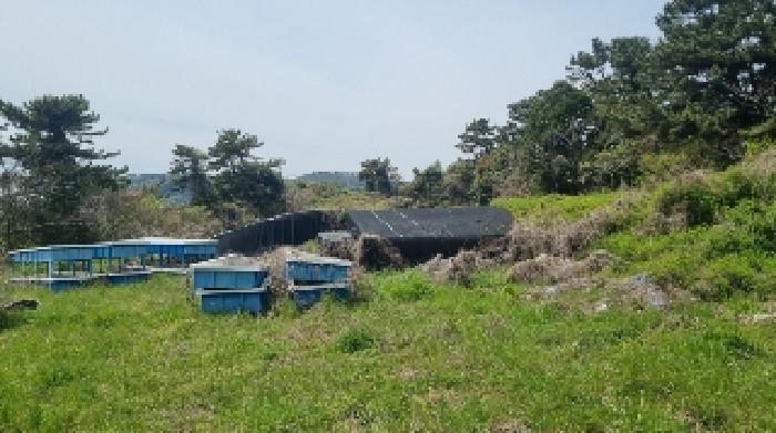 제주특별자치도 서귀포시 성산읍 시흥리 1251 전 경매 사진 4