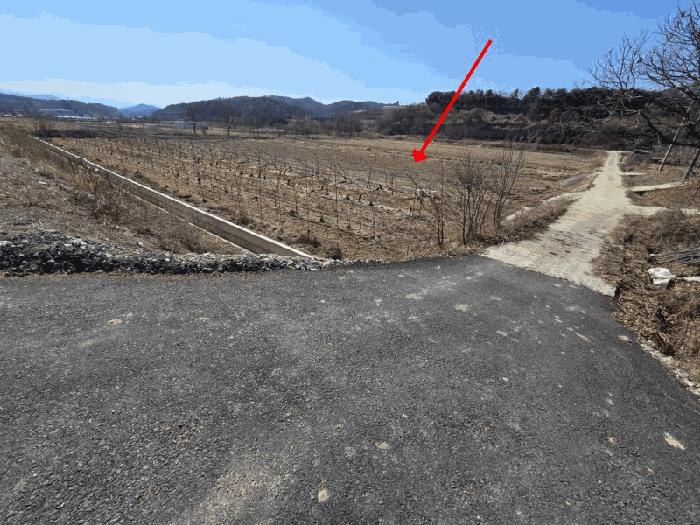 충청북도 영동군 용산면 미전리 345-4 답 경매 사진 1