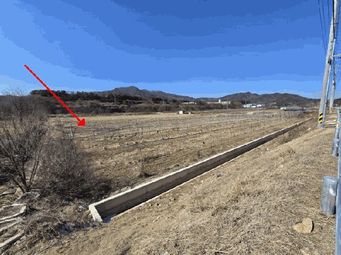 충청북도 영동군 용산면 미전리 345-4 답 경매 사진 2