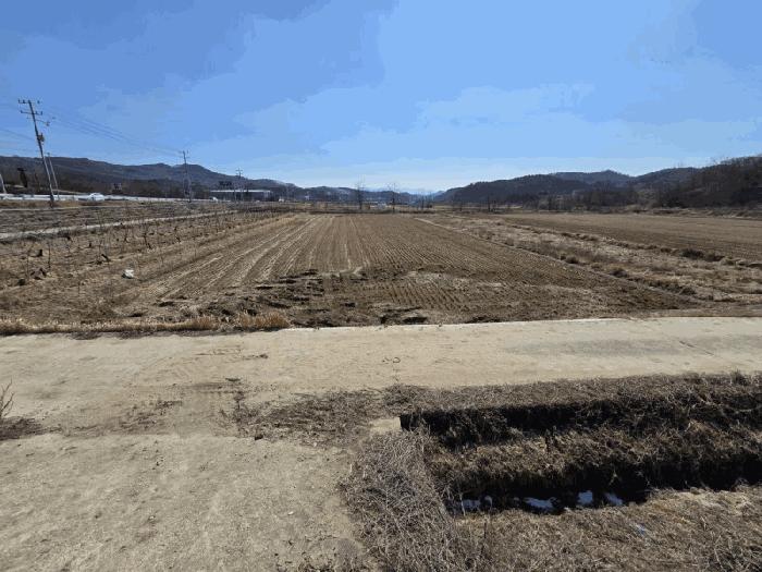 충청북도 영동군 용산면 미전리 345-4 답 경매 사진 3