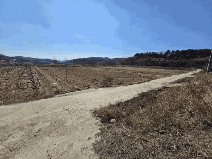 충청북도 영동군 용산면 미전리 345-4 답 경매 사진 4