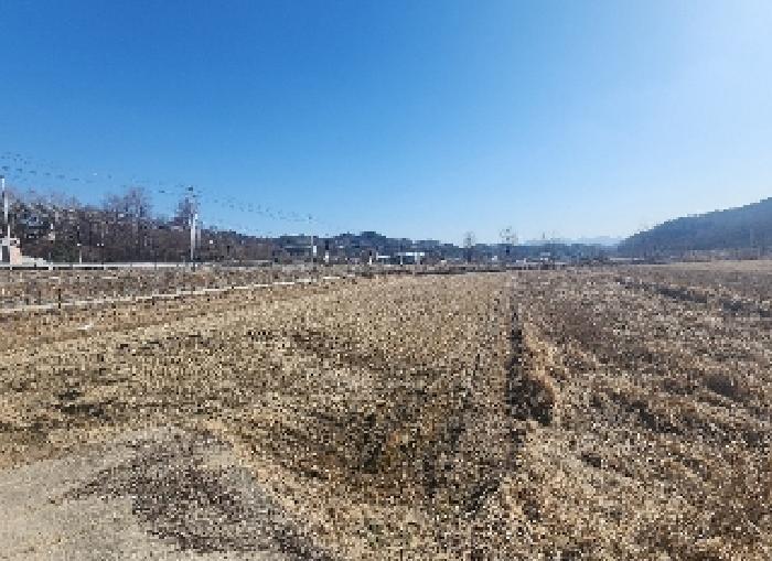 충청북도 영동군 용산면 미전리 345-4 답 경매 사진 5