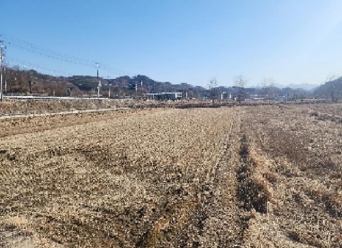 충청북도 영동군 용산면 미전리 345-4 답 경매 사진 6