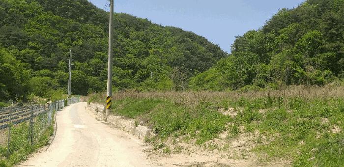 충청북도 영동군 학산면 지내리 1464-1 답 경매 사진 2