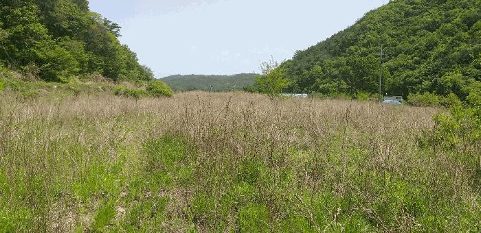충청북도 영동군 학산면 지내리 1464-1 답 경매 사진 4