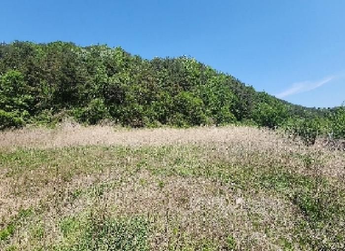 충청북도 영동군 학산면 지내리 1464-1 답 경매 사진 5