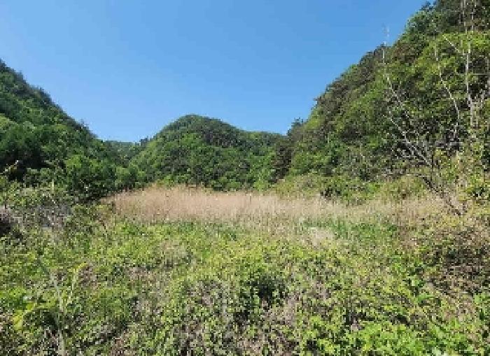 충청북도 영동군 학산면 지내리 1464-1 답 경매 사진 6
