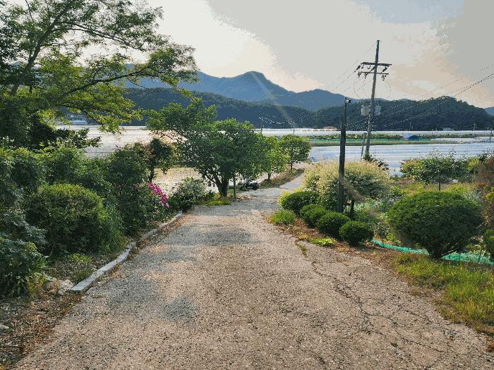 충청북도 옥천군 이원면 지정리 238 전 경매 사진 1