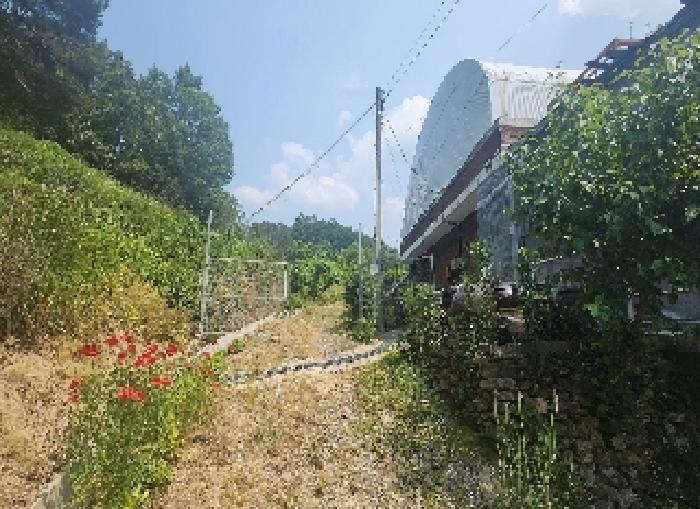 충청북도 옥천군 이원면 지정리 238 전 경매 사진 10