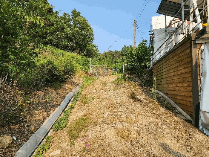 충청북도 옥천군 이원면 지정리 238 전 경매 사진 2