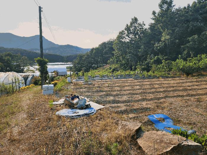 충청북도 옥천군 이원면 지정리 238 전 경매 사진 3