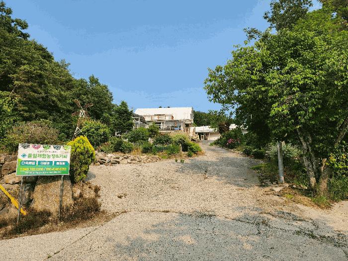 충청북도 옥천군 이원면 지정리 238 전 경매 사진 6